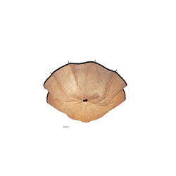 FLOS Celestia Ceiling Lamp 㲼ˇ픟CGX697_kҾ_(d)픟_F(xin)(jng)